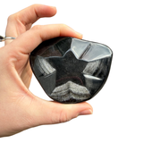 Silversheen Obsidian Star - Polished Obsidian Star - High Quality - Mexico