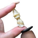 Halloween Gemstone Carving - Large, Medium, Small Crystal Halloween Carving - Spooky Crystal Carving #1
