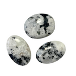 Natural Crystal Palm Stone, Affordable Crystal Palm, Gemstone Palm Stone