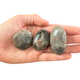 Small Black Moonstone Palm Stone - Pocket Black Moonstone