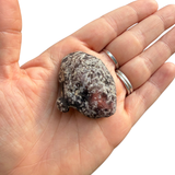 Laguna Lace Agate - Chihuahua, Mexico - Red and Black Laguna Lace - #3