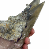 XL Dragonscale Calcite from the Sweetwater Mine Missouri - Closed Mine - Sweetwater Calcite - #2