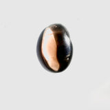 50bb0a30-f329-4162-851e-eca2bc1915df