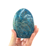 Apatite Free Form - Polished Apatite Free Form
