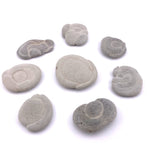 Fairy Stone from Canada, Natural Clay Concretion, Calcite Carbonate, Concrete Fairy Stones, Natural Fairy Stones, B-65