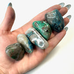 XL Chrysocolla Tumbled Stone, Chrysocolla with Quartz, Chrysocolla and Shattuckite, XL Chrysocolla, T-15-1