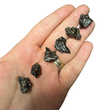 Campo Del Cielo Meteorite - Small Natural Meteorite - Genuine Meteorite