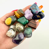 6c9bb357-faff-443f-bba0-8baa86e5db41