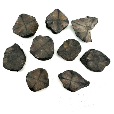 Natural Chiastolite Slice, Raw Chiastolite, Rough Chiastolite, Cross Stone, "X" Stone, B-55