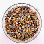 25g Crazy Lace Agate Chips, Tumbled Crazy Lace Agate Chips, Crazy Lace Agate Gemstone Chips