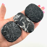 Chrysanthemum Palm Stone, Chrysanthemum Smooth Stone, Chrysanthemum Worry Stone, P-166