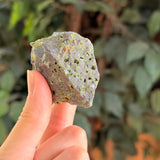 Epidote in Basalt- Michigan- Intuitive