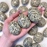 Dalmatian Jasper Palm Stone, Smooth Dalmatian Jasper, Polished Dalmatian Jasper, Palm Dalmatian Stone