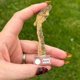Baryte and Pyrite - Poland #2