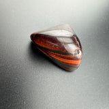 885c7da7-e4ee-4a04-9a06-345c48b48552