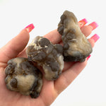 Truffle Chalcedony aka Panda Agate, Natural Panda Agate, Truffle Chalcedony Specimen, B-61