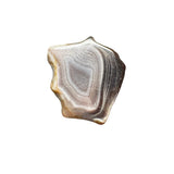 4bd8ea31-9692-484c-904b-499b34cba727