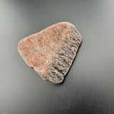 d2244188-e204-4dce-8ed6-910e1d929ddb