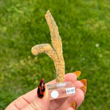 Baryte and Pyrite - Poland #1