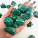 Large QUALITY Amazonite Tumble from Russia, Bright Amazonite Tumble, Tumbled Amazonite, Large Amazonite, P-26