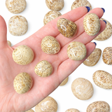 Aragonite Tumbled Stone, Tumbled Aragonite, Pocket Aragonite
