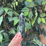 Kambaba Jasper - Tower - Intuitive