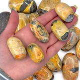 Bumblebee Jasper Tumble, Tumbled Bumblebee Jasper, Healing Bumblebee Jasper