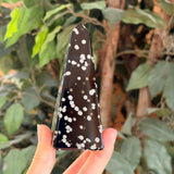 Large Stardust Obsidian- Tower - Mexico - Intuitive