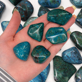 XL Chrysocolla Tumbled Stone, Chrysocolla with Quartz, Chrysocolla and Shattuckite, XL Chrysocolla, T-15-1