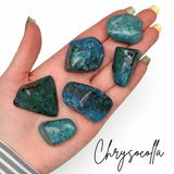 XL Chrysocolla Tumbled Stone, Chrysocolla with Quartz, Chrysocolla and Shattuckite, XL Chrysocolla, T-15-1