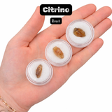 ONE Small Citrine Specimen - Brazil - Thumbnail Size Citrine