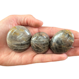 Small Black Moonstone Palm Stone - Pocket Black Moonstone