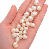 ONE Fresh Water Pearl - in case - Natural Pearl Specimen - Round Pearl