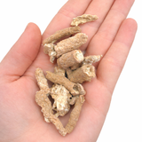 ONE Rough Fulgurite Stone - Petrified Lightning - Petrified Sand - Natural Fulgurite