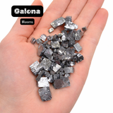 GEM JAR Galena Specimen - 1-5pc Galena - Natural Galena