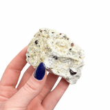 Garnet in Matrix from South Africa - Natural Garnet Specimen - Medium Garnet in Matrix