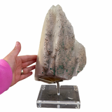 XL Dogtooth Calcite with Malachite - NEW FIND - Hubei, China - Pyrite and Malachite Inclusions - #1