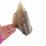 XL Dogtooth Calcite with Malachite - NEW FIND - Hubei, China - Pyrite and Malachite Inclusions - #2