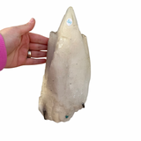 XL Dogtooth Calcite with Malachite - NEW FIND - Hubei, China - Pyrite and Malachite Inclusions - #2