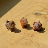 Alashan Agate Carving - Gobi Desert Agate - Agate from Inner Mongolia - Gemstone Mini Carving