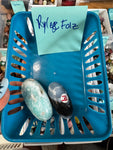 Shiva Live: Rylee Folz