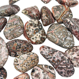 Leopardskin Jasper, Tumbled Leopard Jasper, Spotted Jasper, Healing Leopard Jasper