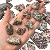 Leopardskin Jasper, Tumbled Leopard Jasper, Spotted Jasper, Healing Leopard Jasper