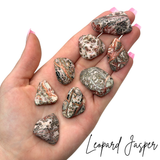Leopardskin Jasper, Tumbled Leopard Jasper, Spotted Jasper, Healing Leopard Jasper