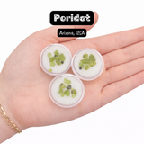 GEM JAR Natural Peridot from Arizona - 3-6pcs - Rough Peridot Crystals