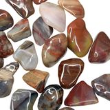 Petrified Wood Tumble, Tumbled Petrified Wood, Healing Petrified Wood