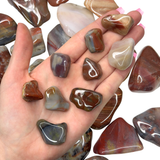 Petrified Wood Tumble, Tumbled Petrified Wood, Healing Petrified Wood