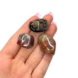 Petrified Wood Tumble, Tumbled Petrified Wood, Healing Petrified Wood