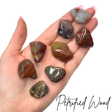 Petrified Wood Tumble, Tumbled Petrified Wood, Healing Petrified Wood