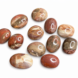 Petrified Wood Palm Stone - Natural Petrified Wood - Polished Petrified Wood Palm